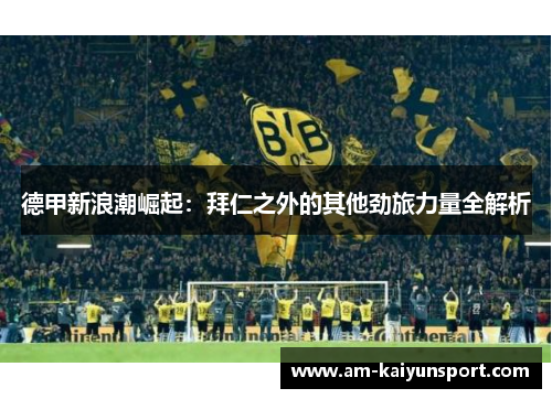 德甲新浪潮崛起:拜仁之外的其他劲旅力量全解析 德甲新浪潮崛起:拜仁之外的其他劲旅力量全解析
