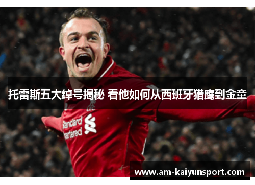 托雷斯五大绰号揭秘 看他如何从西班牙猎鹰到金童 托雷斯五大绰号揭秘 看他如何从西班牙猎鹰到金童
