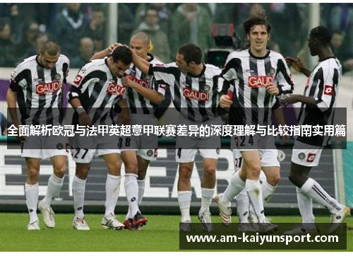 全面解析欧冠与法甲英超意甲联赛差异的深度理解与比较指南实用篇
