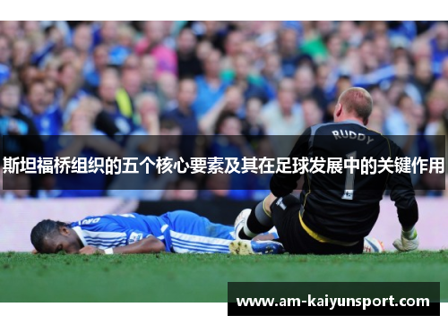 斯坦福桥组织的五个核心要素及其在足球发展中的关键作用