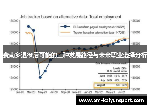 费南多退役后可能的三种发展路径与未来职业选择分析